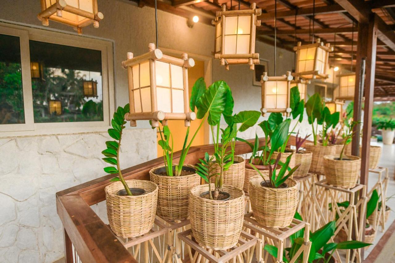 Ecocharme Pousada Do Marcilio 페르난도데노롱야 외부 사진